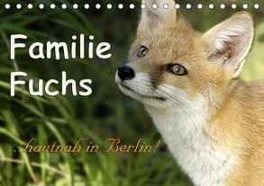 Familie Fuchs hautnah in Berlin (Tischkalender 2019 DIN A5 quer) von Brinker,  Sabine