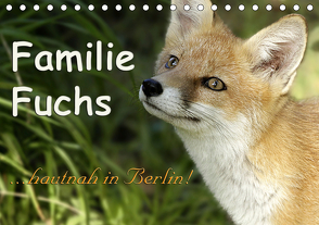 Familie Fuchs hautnah in Berlin (Tischkalender 2021 DIN A5 quer) von Brinker,  Sabine