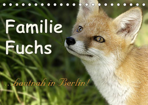 Familie Fuchs hautnah in Berlin (Tischkalender 2022 DIN A5 quer) von Brinker,  Sabine