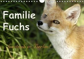 Familie Fuchs hautnah in Berlin (Wandkalender 2018 DIN A4 quer) von Brinker,  Sabine