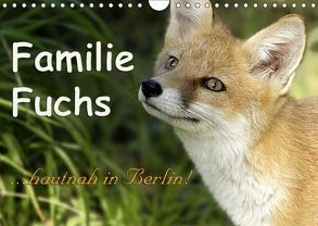 Familie Fuchs hautnah in Berlin (Wandkalender 2019 DIN A4 quer) von Brinker,  Sabine