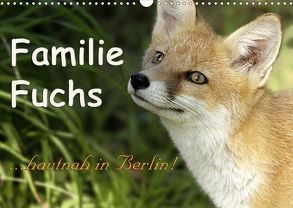 Familie Fuchs hautnah in Berlin (Wandkalender 2020 DIN A3 quer) von Brinker,  Sabine