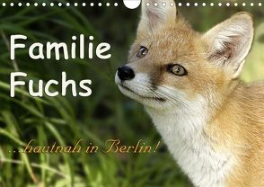 Familie Fuchs hautnah in Berlin (Wandkalender 2020 DIN A4 quer) von Brinker,  Sabine