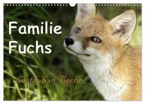 Familie Fuchs hautnah in Berlin (Wandkalender 2024 DIN A3 quer), CALVENDO Monatskalender von Brinker,  Sabine