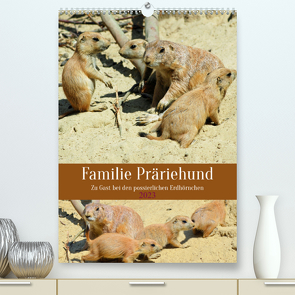 Familie Präriehund (Premium, hochwertiger DIN A2 Wandkalender 2023, Kunstdruck in Hochglanz) von Kleemann,  Claudia