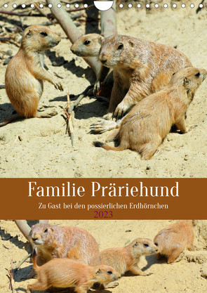 Familie Präriehund (Wandkalender 2023 DIN A4 hoch) von Kleemann,  Claudia