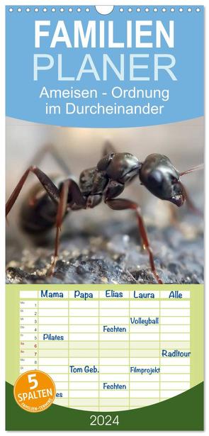 Familienplaner 2024 – Ameisen – Ordnung im Durcheinander mit 5 Spalten (Wandkalender, 21 x 45 cm) CALVENDO von Roder,  Peter