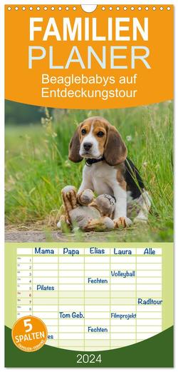 Familienplaner 2024 – Beaglebabys auf Entdeckungstour mit 5 Spalten (Wandkalender, 21 x 45 cm) CALVENDO von Teßen,  Sonja