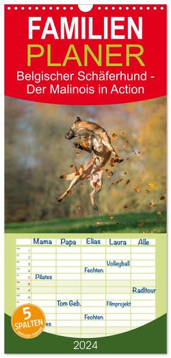 Familienplaner 2024 – Belgischer Schäferhund – Der Malinois in Action mit 5 Spalten (Wandkalender, 21 x 45 cm) CALVENDO von Brandt,  Tanja