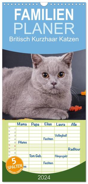 Familienplaner 2024 – Britisch Kurzhaar Katzen mit 5 Spalten (Wandkalender, 21 x 45 cm) CALVENDO von Wejat-Zaretzke,  Gabriela