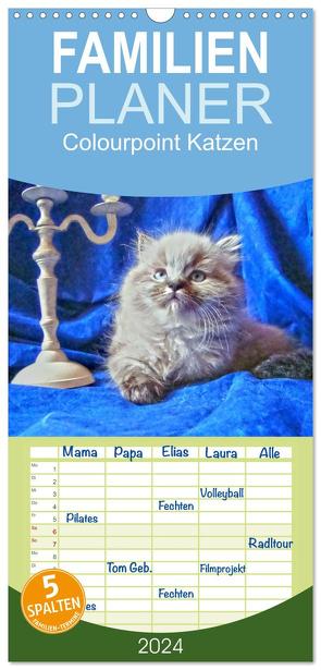 Familienplaner 2024 – Colourpoint Katzen mit 5 Spalten (Wandkalender, 21 x 45 cm) CALVENDO von Säume,  Sylvia