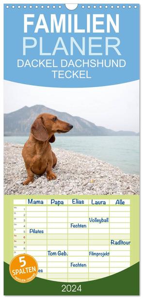 Familienplaner 2024 – DACKEL DACHSHUND TECKEL 2024 mit 5 Spalten (Wandkalender, 21 x 45 cm) CALVENDO von Mirsberger tierpfoto,  Annett