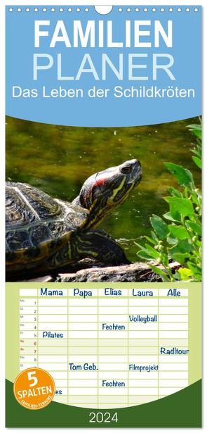 Familienplaner 2024 – Das Leben der Schildkröten mit 5 Spalten (Wandkalender, 21 x 45 cm) CALVENDO von Kattobello,  Kattobello