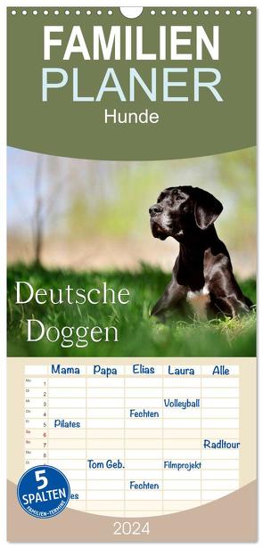 Familienplaner 2024 – Deutsche Doggen / Geburtstagskalender mit 5 Spalten (Wandkalender, 21 x 45 cm) CALVENDO von Noack,  Nicole