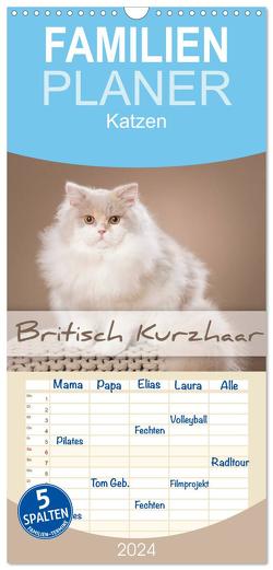 Familienplaner 2024 – Die Britisch Kurzhaar Katze mit 5 Spalten (Wandkalender, 21 x 45 cm) CALVENDO von Bildarchiv,  Trio