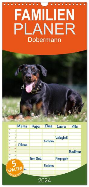 Familienplaner 2024 – Dobermann mit 5 Spalten (Wandkalender, 21 x 45 cm) CALVENDO von Mirsberger www.tierpfoto.de,  Annett