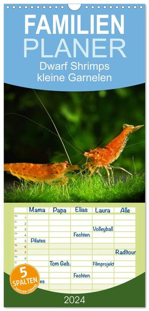 Familienplaner 2024 – Dwarf Shrimps – kleine Garnelen mit 5 Spalten (Wandkalender, 21 x 45 cm) CALVENDO von Pohlmann,  Rudolf
