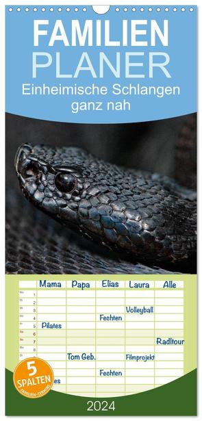 Familienplaner 2024 – Einheimische Schlangen ganz nah mit 5 Spalten (Wandkalender, 21 x 45 cm) CALVENDO von Dummermuth,  Stefan
