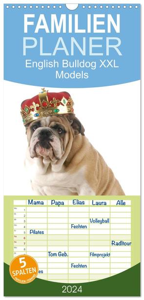 Familienplaner 2024 – English Bulldog XXL Models mit 5 Spalten (Wandkalender, 21 x 45 cm) CALVENDO von Stanzer,  Elisabeth