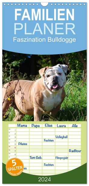 Familienplaner 2024 – Faszination Bulldogge mit 5 Spalten (Wandkalender, 21 x 45 cm) CALVENDO von Stanzer,  Elisabeth
