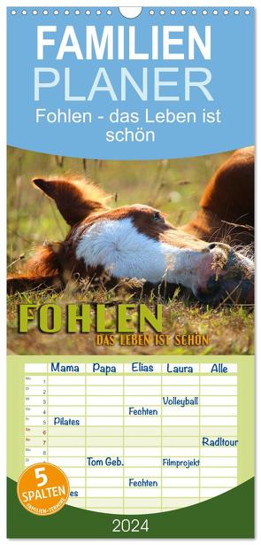 Familienplaner 2024 – Fohlen – das Leben ist schön mit 5 Spalten (Wandkalender, 21 x 45 cm) CALVENDO von Utz,  Renate