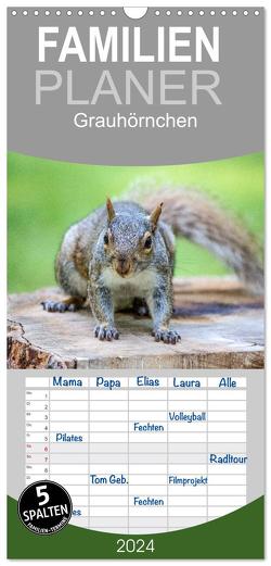 Familienplaner 2024 – Grauhörnchen-Die nordamerikanischen Eichhörnchen mit 5 Spalten (Wandkalender, 21 x 45 cm) CALVENDO von / pixs:sell@Adobe Stock,  pixs:sell@fotolia