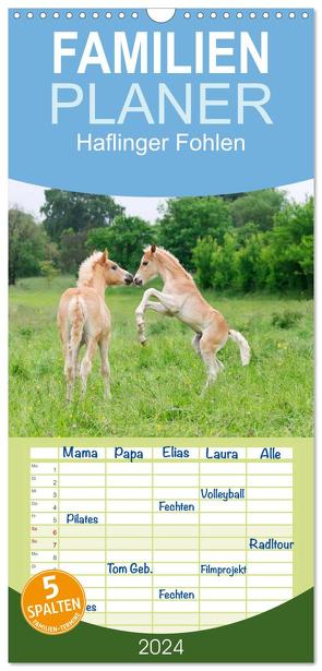 Familienplaner 2024 – Haflinger Fohlen mit 5 Spalten (Wandkalender, 21 x 45 cm) CALVENDO von Menden,  Katho