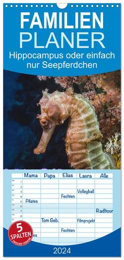 Familienplaner 2024 – Hippocampus oder einfach nur Seepferdchen mit 5 Spalten (Wandkalender, 21 x 45 cm) CALVENDO von Gödecke,  Dieter