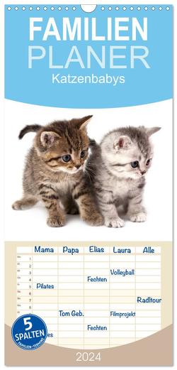 Familienplaner 2024 – Katzenbabys mit 5 Spalten (Wandkalender, 21 x 45 cm) CALVENDO von Hesch-Foto,  Hesch-Foto