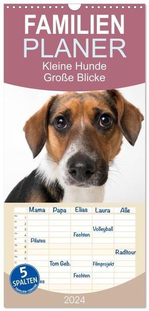 Familienplaner 2024 – Kleine Hunde – Große Blicke mit 5 Spalten (Wandkalender, 21 x 45 cm) CALVENDO von Akrema-Photography,  Akrema-Photography