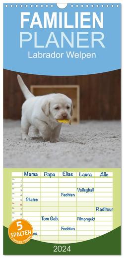 Familienplaner 2024 – Labrador Welpen mit 5 Spalten (Wandkalender, 21 x 45 cm) CALVENDO von Bollich,  Heidi