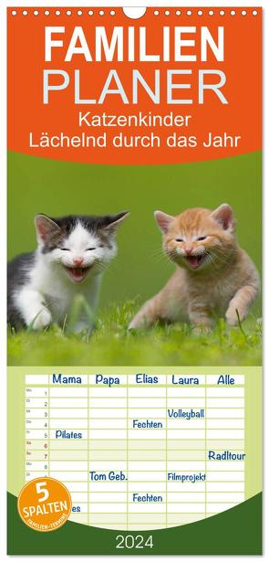 Familienplaner 2024 – Lächelnd durchs Jahr – Katzenkinder -Familienplaner hoch mit 5 Spalten (Wandkalender, 21 x 45 cm) CALVENDO von Danegger,  Susanne