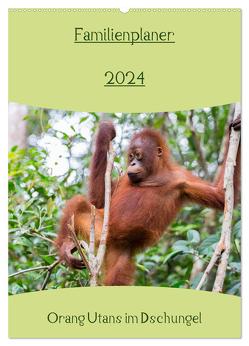 Familienplaner 2024 – Orang Utans im Dschungel (Wandkalender 2024 DIN A2 hoch), CALVENDO Monatskalender von Heiss Photography,  Daniel