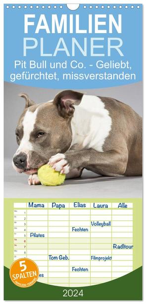 Familienplaner 2024 – Pit Bull und Co. – Geliebt, gefürchtet, missverstanden mit 5 Spalten (Wandkalender, 21 x 45 cm) CALVENDO von Stanzer,  Elisabeth