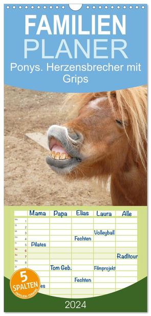 Familienplaner 2024 – Ponys. Herzensbrecher mit Grips mit 5 Spalten (Wandkalender, 21 x 45 cm) CALVENDO von Stanzer,  Elisabeth