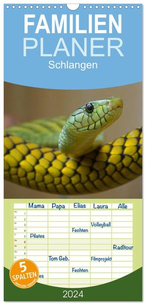 Familienplaner 2024 – Schlangen mit 5 Spalten (Wandkalender, 21 x 45 cm) CALVENDO von Stanzer,  Elisabeth
