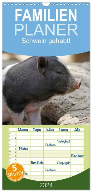 Familienplaner 2024 – Schwein gehabt! mit 5 Spalten (Wandkalender, 21 x 45 cm) CALVENDO von Lindert-Rottke,  Antje