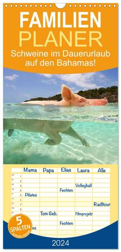 Familienplaner 2024 – Schweine im Dauerurlaub auf den Bahamas! mit 5 Spalten (Wandkalender, 21 x 45 cm) CALVENDO von Stanzer,  Elisabeth