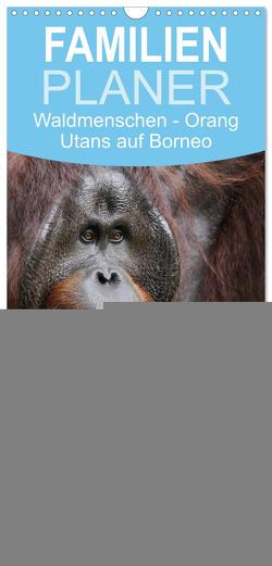 Familienplaner 2024 – Waldmenschen – Orang Utans auf Borneo mit 5 Spalten (Wandkalender, 21 x 45 cm) CALVENDO von Herzog,  Michael