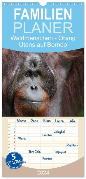 Familienplaner 2024 – Waldmenschen – Orang Utans auf Borneo mit 5 Spalten (Wandkalender, 21 x 45 cm) CALVENDO von Herzog,  Michael