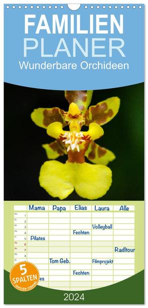 Familienplaner 2024 – Wunderbare Orchideen mit 5 Spalten (Wandkalender, 21 x 45 cm) CALVENDO von Woehlke,  Juergen