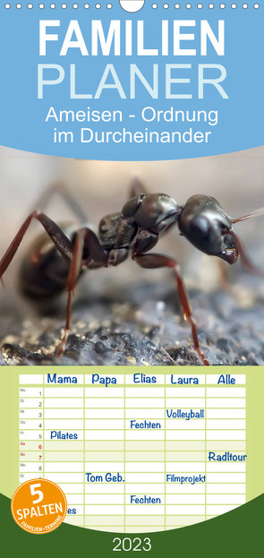 Familienplaner Ameisen – Ordnung im Durcheinander (Wandkalender 2023 , 21 cm x 45 cm, hoch) von Roder,  Peter