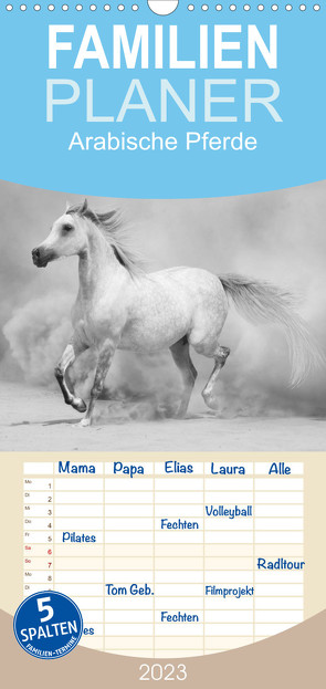 Familienplaner Arabische Pferde (Wandkalender 2023 , 21 cm x 45 cm, hoch) von Stanzer,  Elisabeth