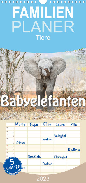Familienplaner Babyelefanten (Wandkalender 2023 , 21 cm x 45 cm, hoch) von Styppa,  Robert
