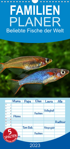 Familienplaner Beliebte Fische der Welt (Wandkalender 2023 , 21 cm x 45 cm, hoch) von Pohlmann,  Rudolf