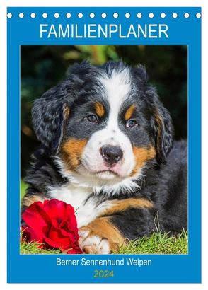 Familienplaner Berner Sennenhund Welpen (Tischkalender 2024 DIN A5 hoch), CALVENDO Monatskalender von Starick,  Sigrid