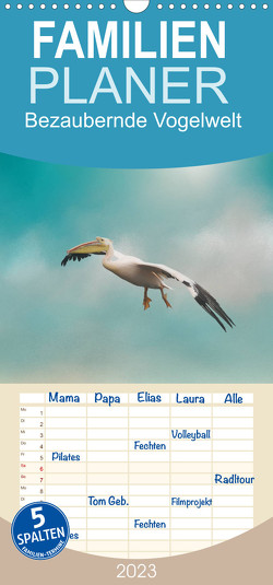 Familienplaner Bezaubernde Vogelwelt (Wandkalender 2023 , 21 cm x 45 cm, hoch) von Fischer,  Petra