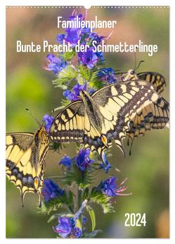 Familienplaner Bunte Pracht der Schmetterlinge (Wandkalender 2024 DIN A2 hoch), CALVENDO Monatskalender von Blickwinkel,  Dany´s