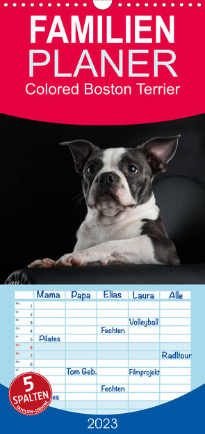 Familienplaner Colored Boston Terrier 2023 (Wandkalender 2023 , 21 cm x 45 cm, hoch) von Kassat Fotografie,  Nicola