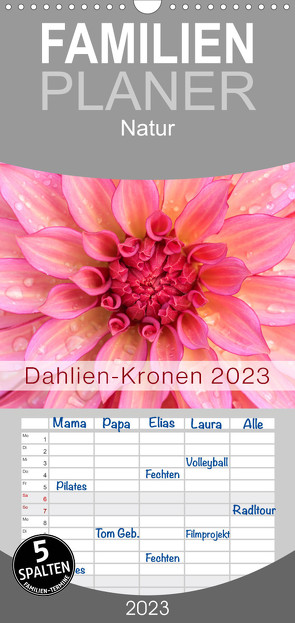Familienplaner Dahlien-Kronen (Wandkalender 2023 , 21 cm x 45 cm, hoch) von Plett,  Rainer